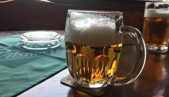 Restaurace Simalka Prazdroj - 17. Listopadu 493