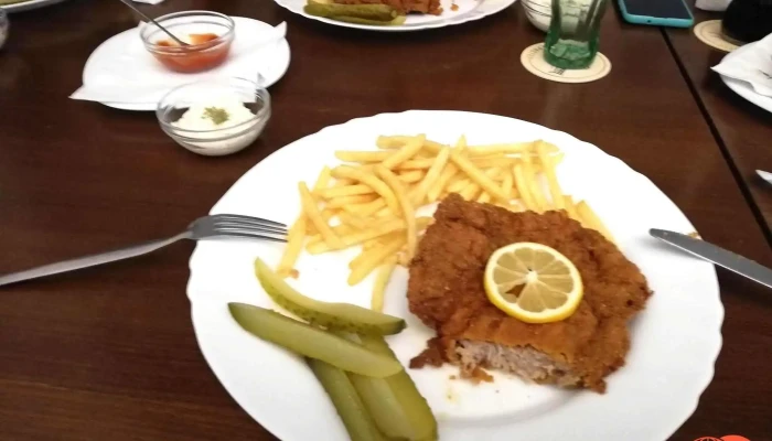Restaurace Slovanka Kladno Rozvoz Jidel Pro Kladno A Okoli Hranolky - Kročehlavy