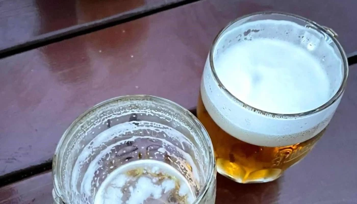 Restaurace Sokolovna Mesice Videa - Nosticova 20/3