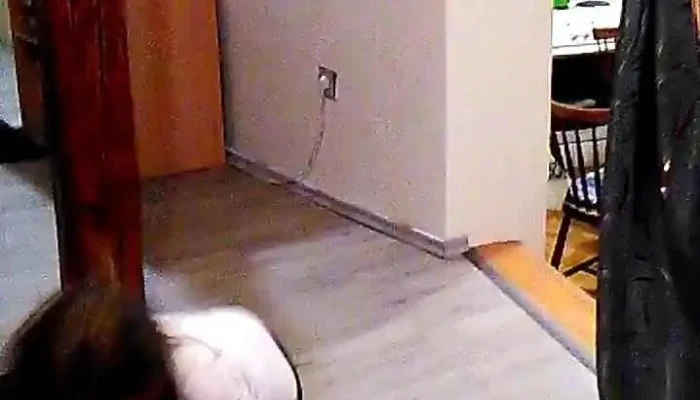 Restaurace Stara Brana Videa - Starobranská 1