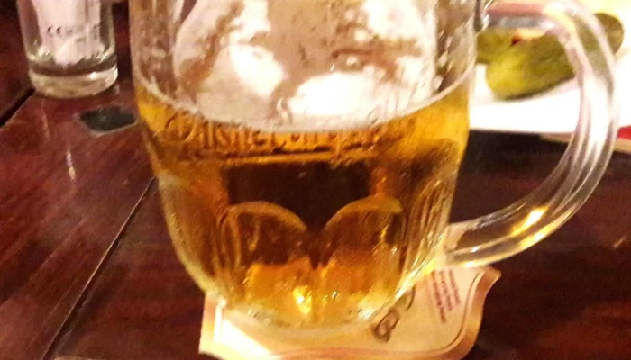 Restaurace Svoboda -  čislo - Teplická 233