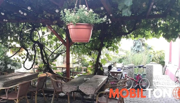Restaurace U Anezky Vzhled A Atmosfera - Olivova 211/15
