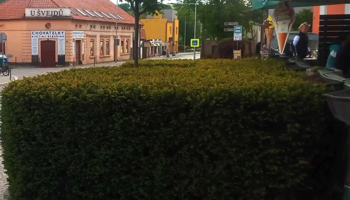 Restaurace U Bendu Webova Stranka - Na Nám. 79