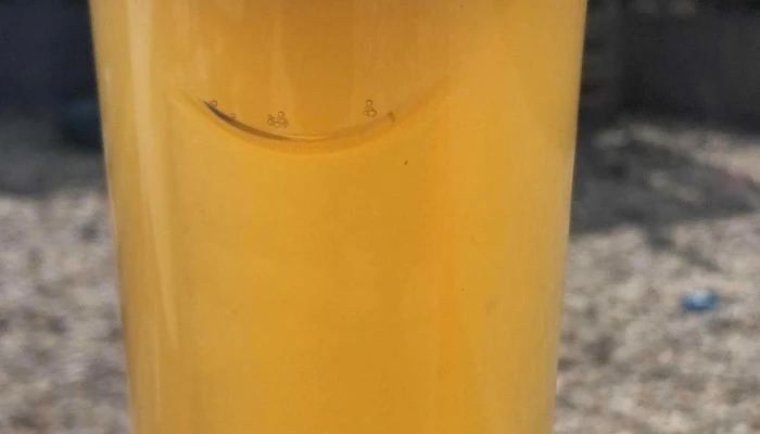 Restaurace U Bony -  Instagram - Na Břasích 493