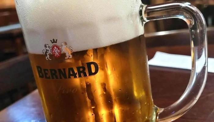 Restaurace U Cervenych Jidlo A Piti - Vávrova 286