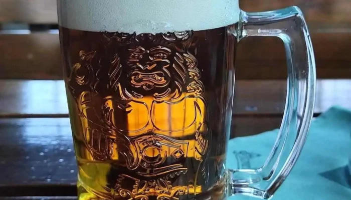 Restaurace U Dvou Slunecnic Pivo - Sokolská 5147