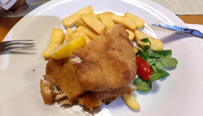 Restaurace U Dvou Slunecnic Rizek - Sokolská 5147