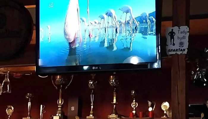 Restaurace U Halu Restaurace - Kutnohorská 369