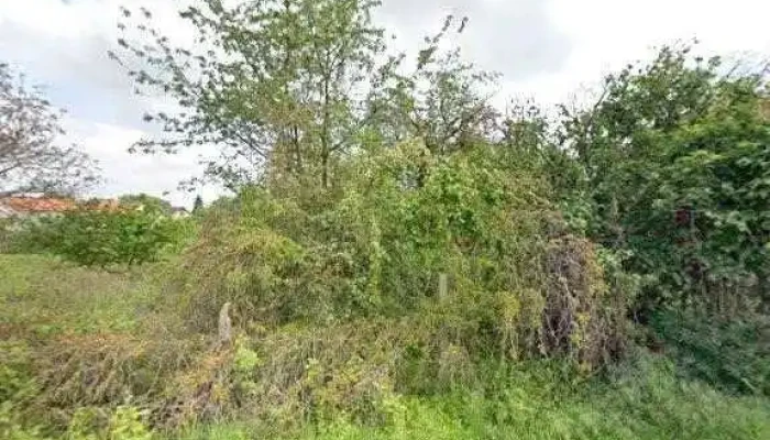 Restaurace U Kocoura -  Street View A 360deg - Kostelecká 12