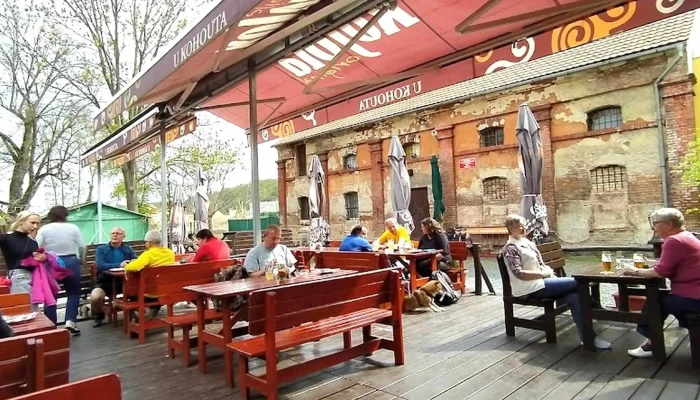 Restaurace U Kohouta -  Webova Stranka - Žižkova 142
