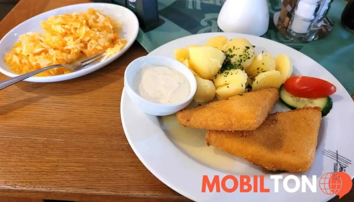 Restaurace U Kotheru Drevak Rizek - Mládežnická 2086