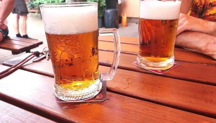 Restaurace U Kropacu Jidlo A Piti - 29, Bratří Nejedlých 223