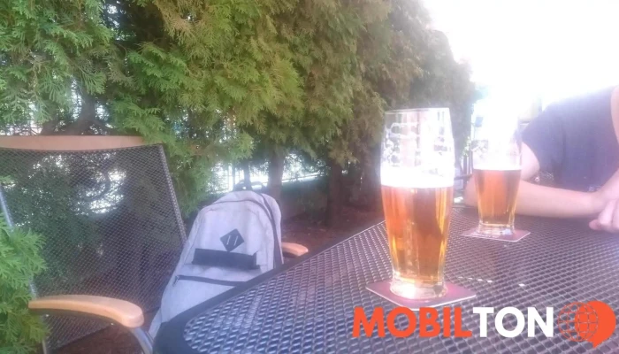 Restaurace U Langru Jidlo A Piti - Mírová 1070/49