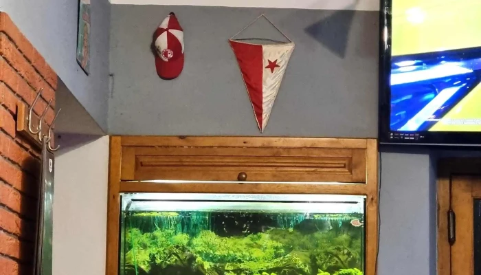Restaurace U Lebedu žďar Loukov U Mnichova Hradiště - Žďár-loukov U Mnichova Hradiště