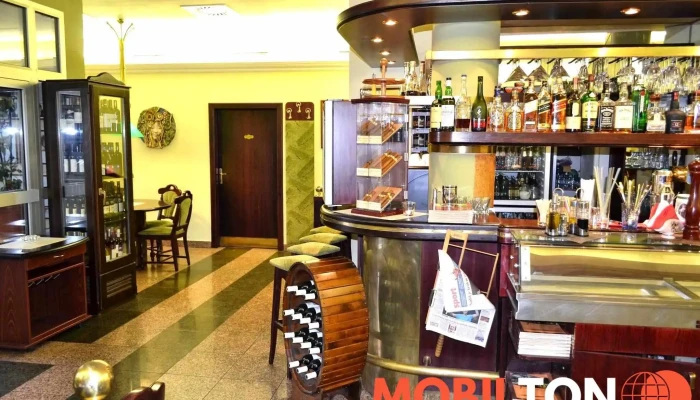 Restaurace U Lva - 530 02 Pardubice I