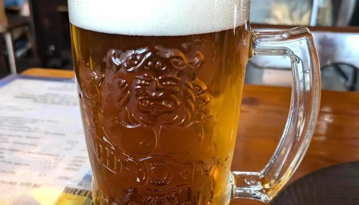 Restaurace U Mestaku Jidlo A Piti - Laurinova 324
