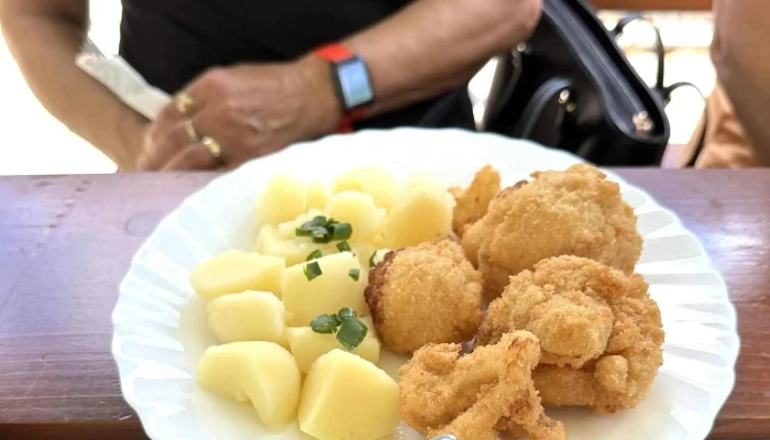 Restaurace U Muzea -  Oteviraci Doba - Velké Karlovice