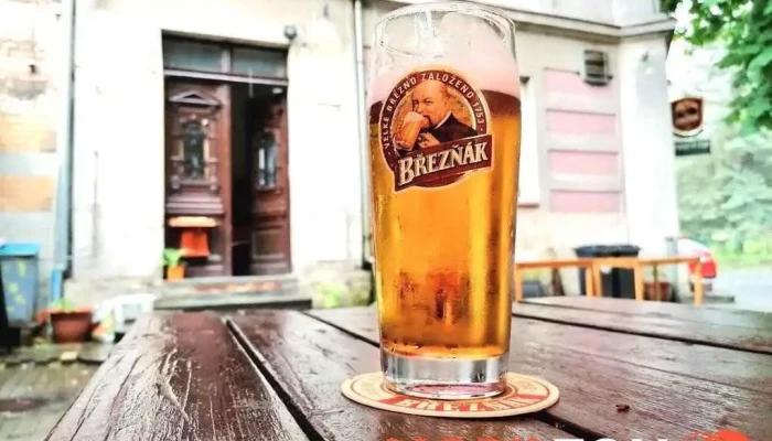 Restaurace U Nadrazi Jidlo A Piti - Nádražní 477