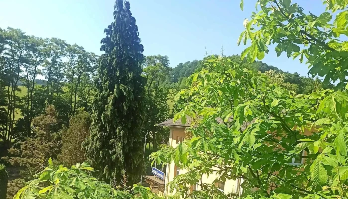 Restaurace U Nadrazi Telefon - Nádražní 477