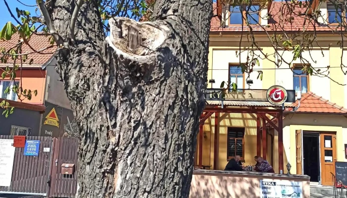 Restaurace U Rybníka - J. Štulíka 632