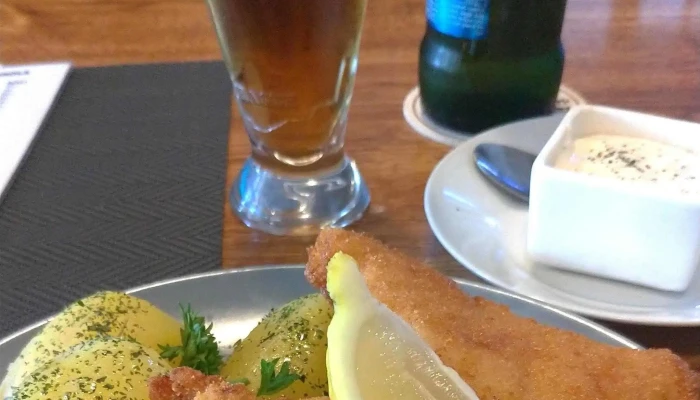 Restaurace U Sokola -  Videa - Tyršovo Nám. 27