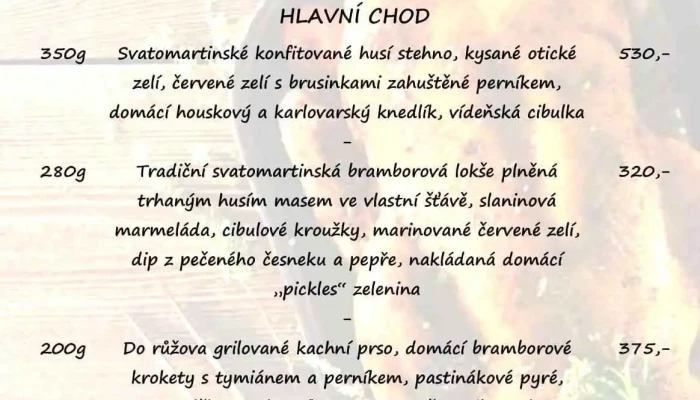 Restaurace U Tri Slunecnic Menu - Dolní Nám. 307