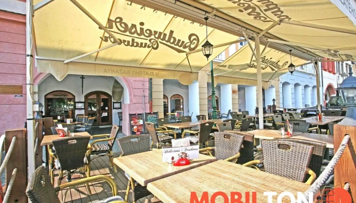 Restaurace U Zlateho Bazanta Od Vlastnika - Město