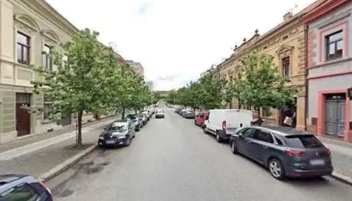 Restaurace U Zlateho Kapra U Rybicek Street View A 360deg - Wilsonova 581