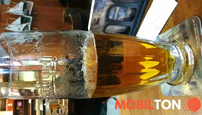Restaurace U Zlateho Kapra U Rybicek Videa - Wilsonova 581