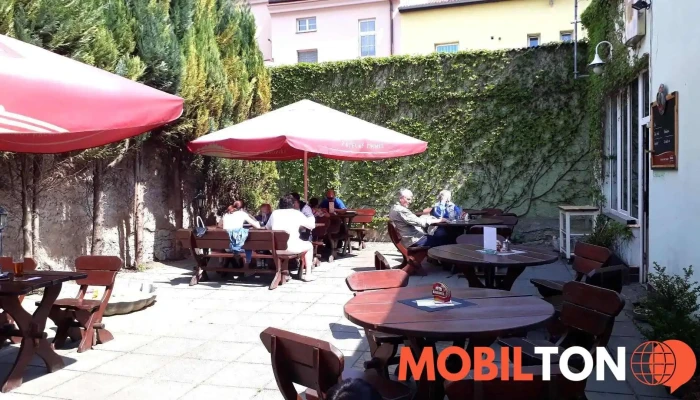 Restaurace U Zlateho Kapra U Rybicek Vzhled A Atmosfera - Wilsonova 581