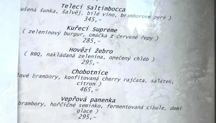 Restaurace U Zvonice Benesov Menu - Na Karlově 347