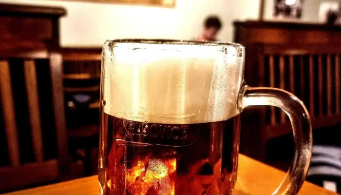 Restaurace Ungelt -  Jidlo A Piti - Masarykovo Nám. 4