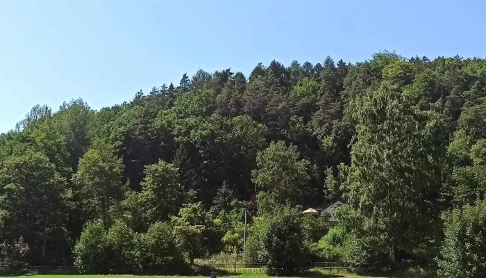 Restaurace V Kempu -  Otevřeno Nyni - Prunéřov
