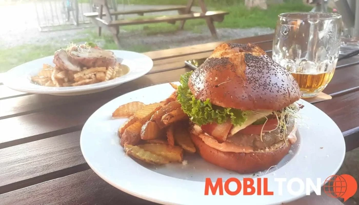 Restaurace Vasirovsky Dvur Jidlo A Piti - Vašírov