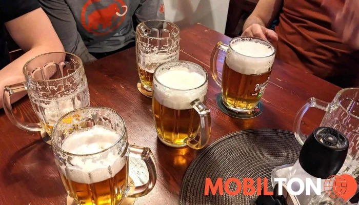 Restaurace Ve Dvore Prazdroj - Pohraniční 333