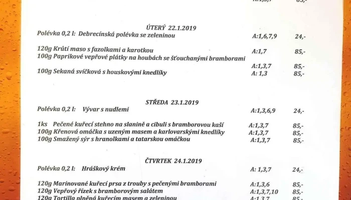 Restaurace Ve Sportovni Hale Menu - Ledečská 3028