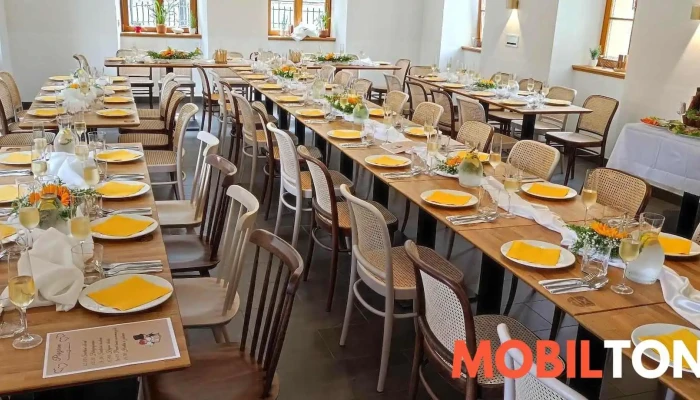 Restaurace Vinopalna -  Vse - Školní 19