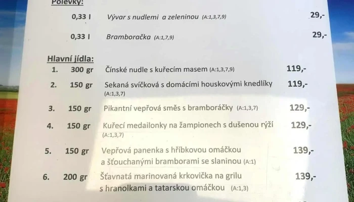 Restaurace Vodni Svet Menu - Masarykova 1041 280 02