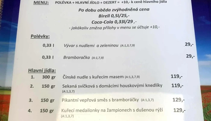 Restaurace Vodni Svet Recenze - Masarykova 1041 280 02