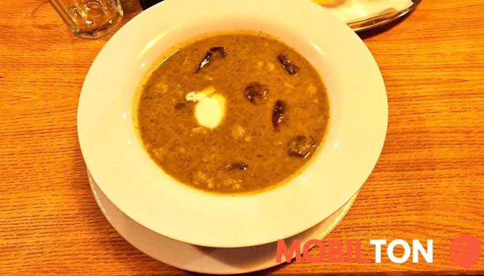 Restaurace Zahradka Na Kopecku Polevka - Mladá