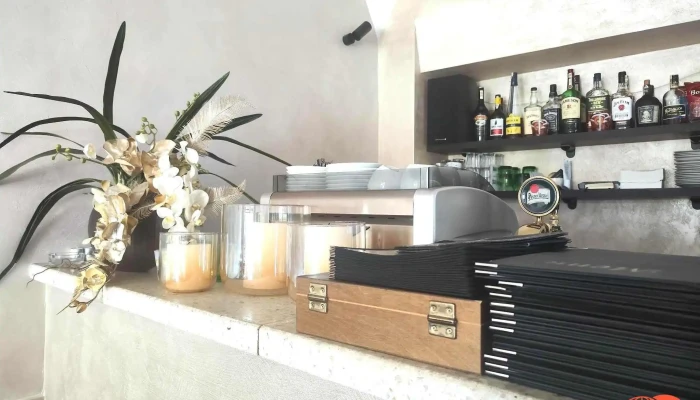 Restaurant Bar Alegro -  Vzhled A Atmosfera - Jiřího Nám. 42