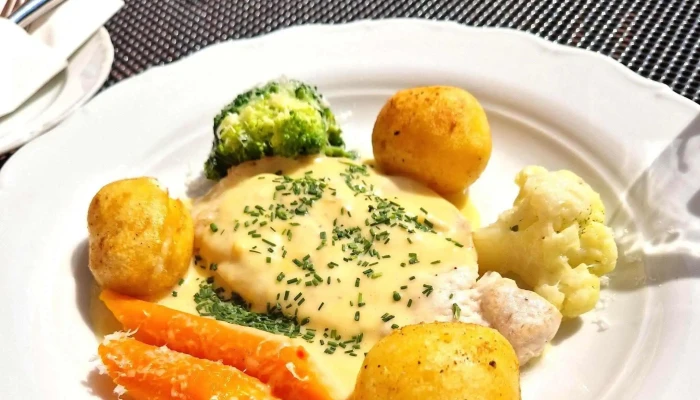 Restaurant Jansa -  Hledam - Čsl. Armády 173