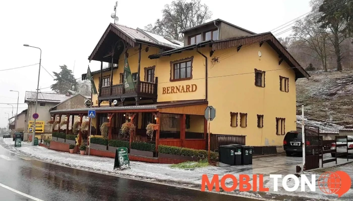 Restaurant Lion -  Vse - Ruská 93