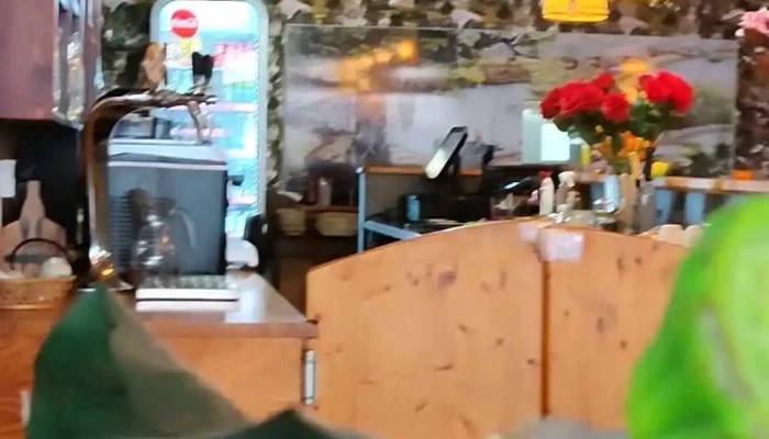 Restaurant Viet Thai Videa - Vašatova 3216