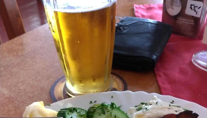 Restaurant Viking -  Hospoda - Kolín V