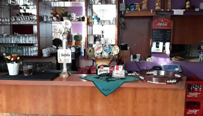 Restaurant Viking -  Vzhled A Atmosfera - Kolín V