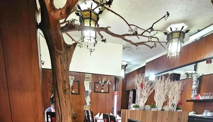 Retro Ceska Restaurace Asie Telefon - Mladá Boleslav Iii