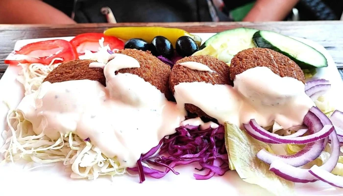 Samer Kebab -  Katalog - Poděbrady I