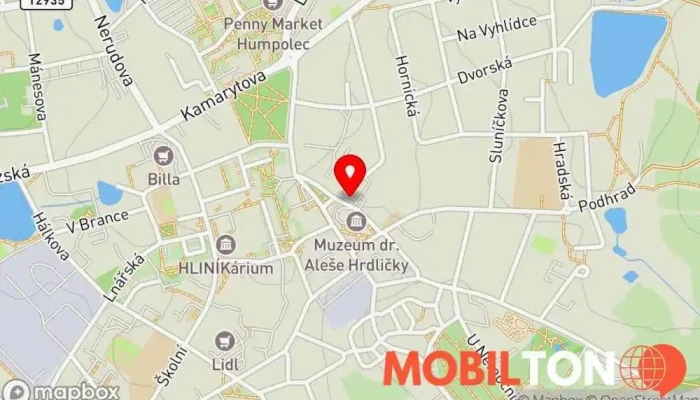 mapa Savemobil s.r.o. Prodej mobilních telefonů v Dolní nám. 256