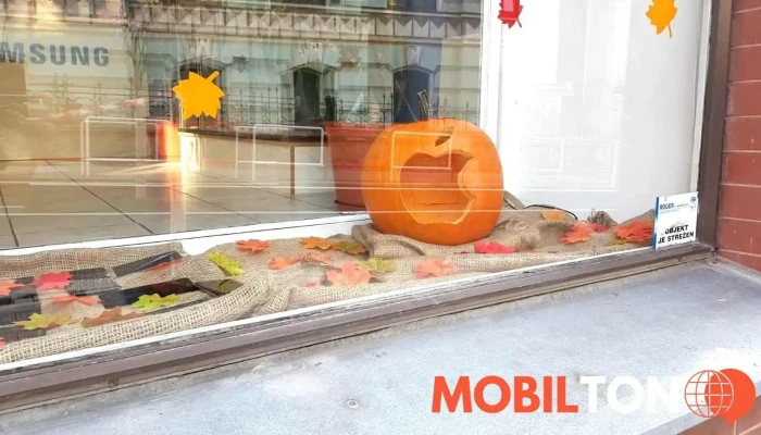 Servis Mobilnich Telefonu Mobilexpress Uvnitr - Ústí Nad Labem-město